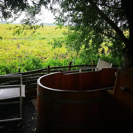 Sweet Treehouse Alojamento de Turismo Selvagem *