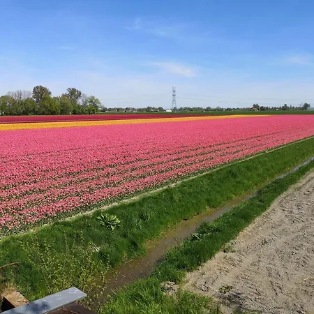 Sweet Treehouse Alojamento de Turismo Selvagem *