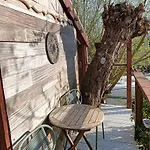 Sweet Treehouse *