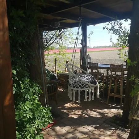 Sweet Treehouse
