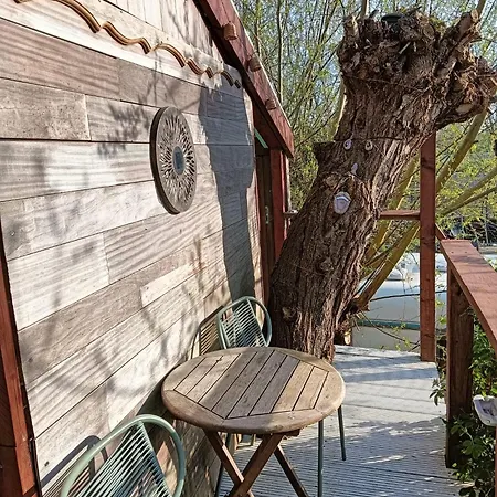 Sweet Treehouse *