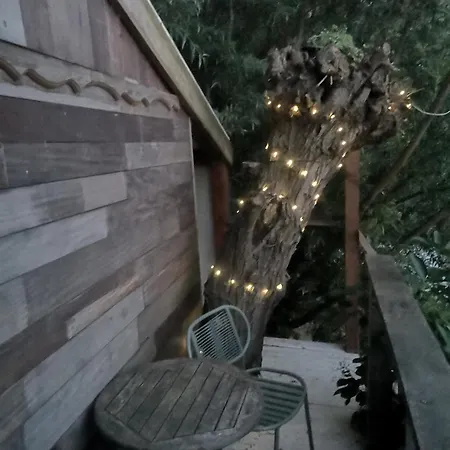 Sweet Treehouse Lodge