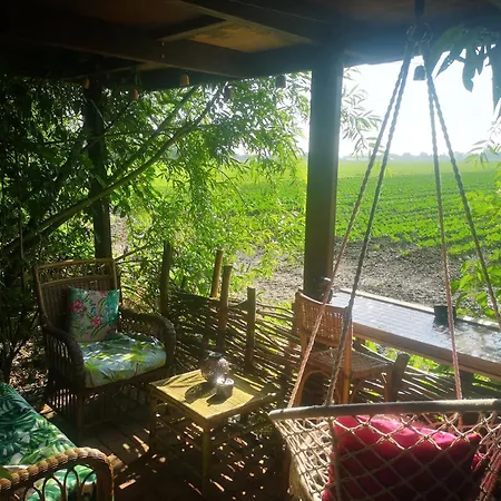 Sweet Treehouse